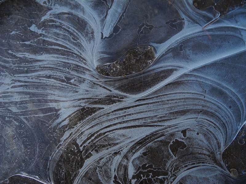 Gallery 3, Water Metamorphoses, Fine Art Photo 7731