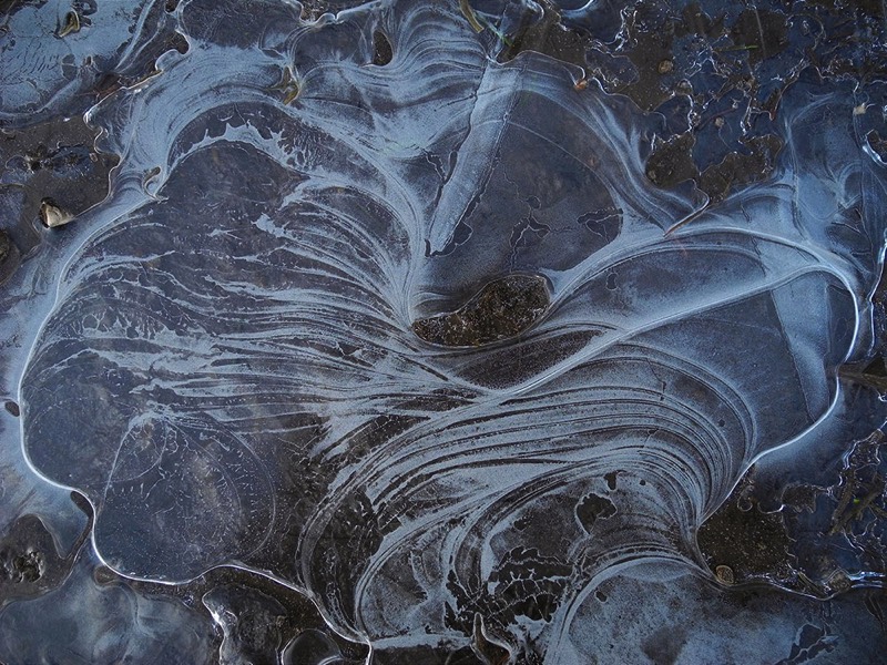 Gallery 3, Water Metamorphoses, Fine Art Photo 7732