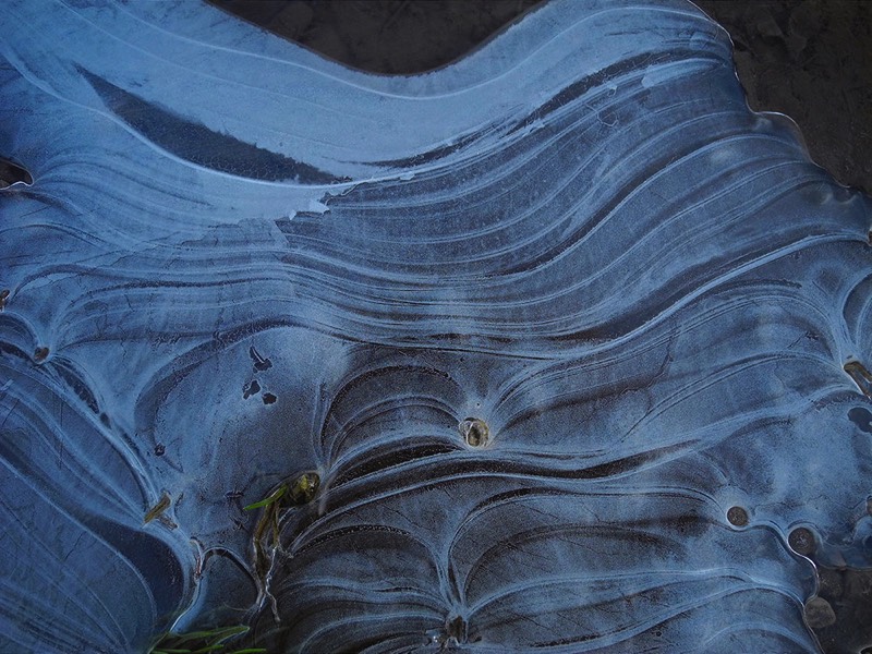 Gallery 3, Water Metamorphoses, Fine Art Photo 7740