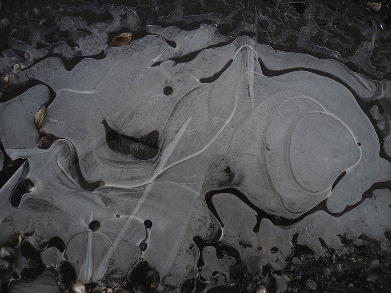 Gallery 3, Water Metamorphoses, Fine Art Photo 7849