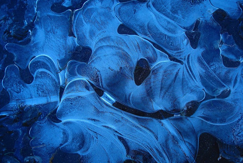 Gallery 3, Water Metamorphoses, Fine Art Photo "Bond of Love"