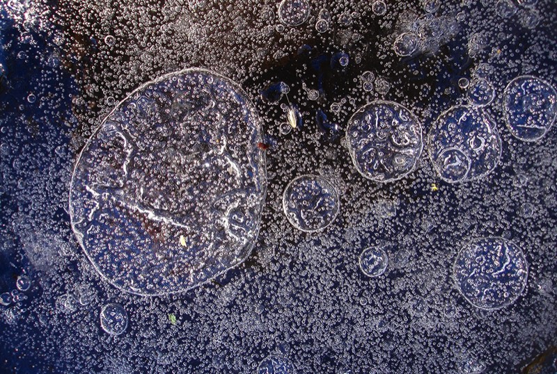 Gallery 3, Water Metamorphoses, Fine Art Photo "Air Swarm"