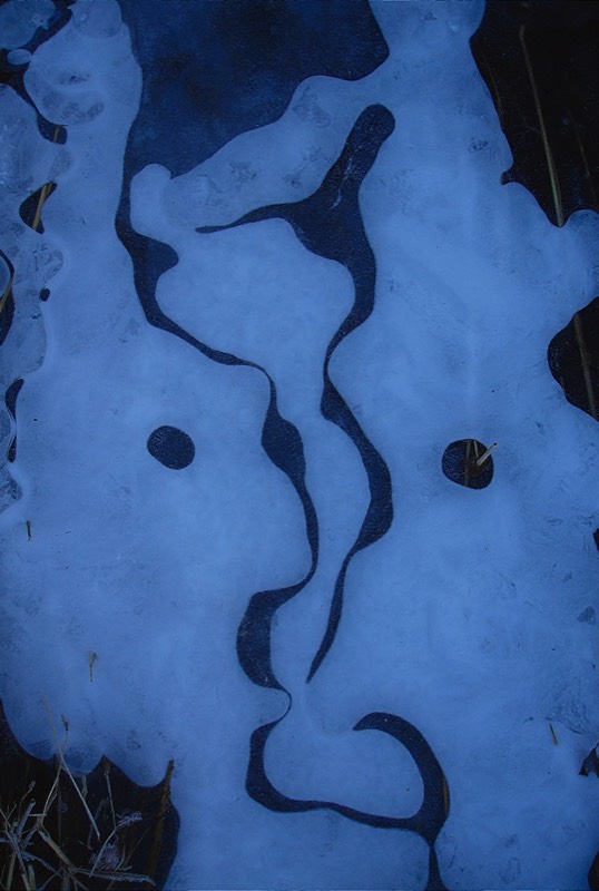 Gallery 3, Water Metamorphoses, Fine Art Photo "Carnival"