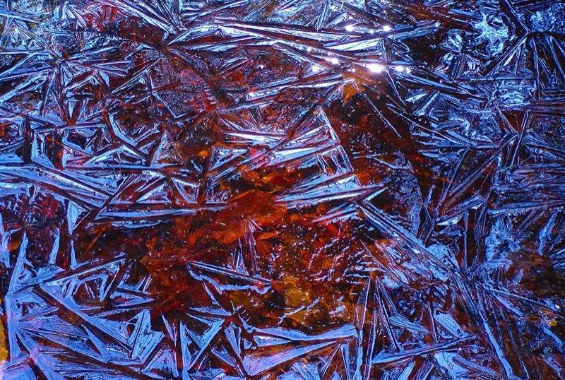 Gallery 3, Water Metamorphoses, Fine Art Photo "8156 Icebird