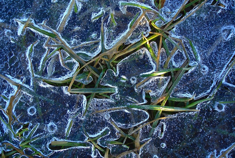 Gallery 3, Water Metamorphoses, Fine Art Photo "Elements of Life"