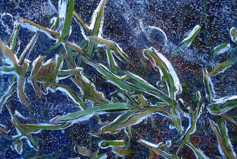 Gallery 3, Water Metamorphoses, Fine Art Photo "Nature