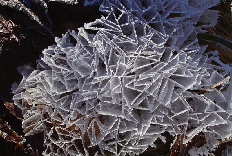 Gallery 3, Water Metamorphoses, Fine Art Photo "Celestial Geometry"